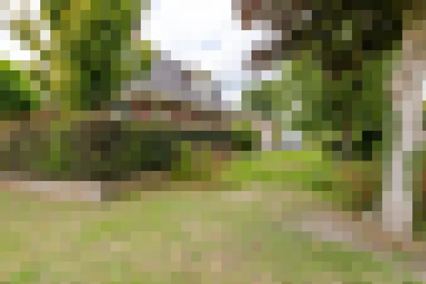 Schoterlandseweg 29 Oudehorne thumbnail 9