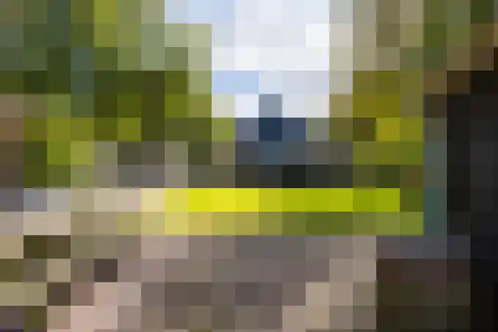 Schoterlandseweg 33 Jubbega thumbnail 11