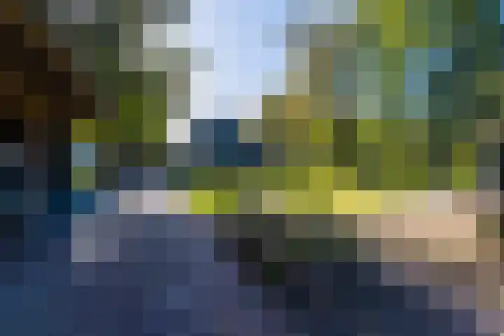Schoterlandseweg 33 Jubbega thumbnail 12