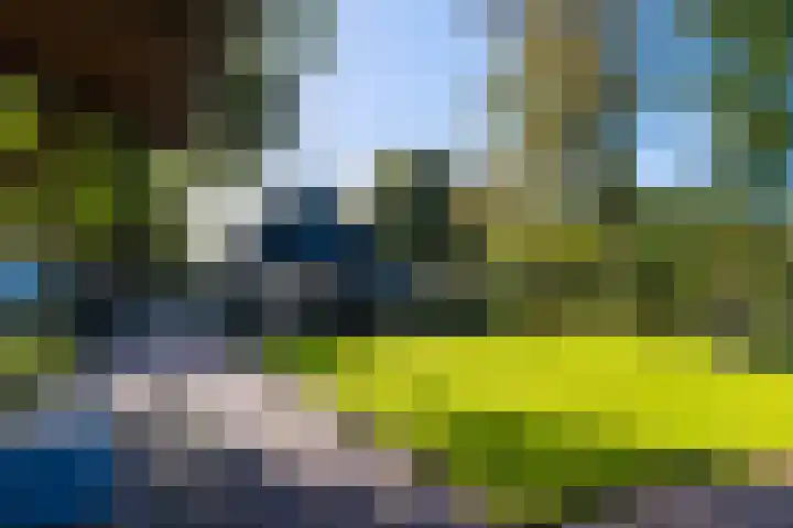 Schoterlandseweg 33 Jubbega thumbnail 13