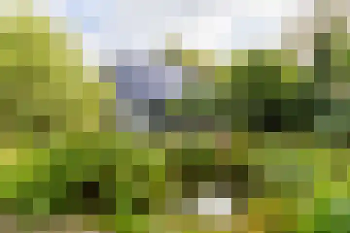 Schoterlandseweg 33 Jubbega thumbnail 15