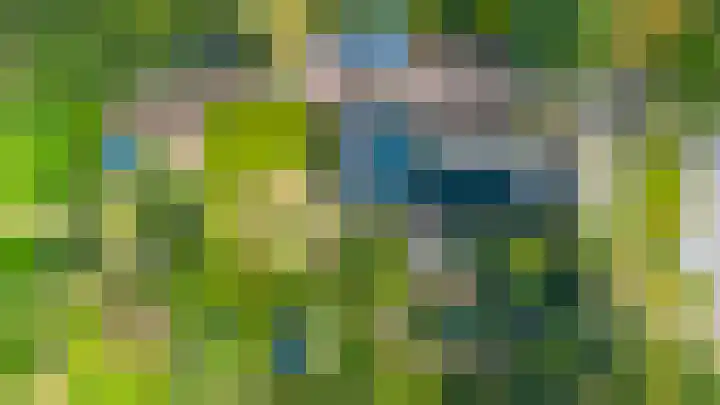 Schoterlandseweg 33 Jubbega thumbnail 16