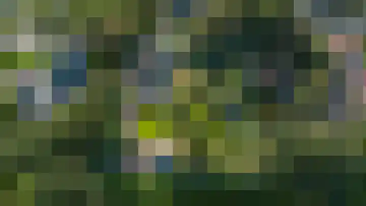 Schoterlandseweg 33 Jubbega thumbnail 17