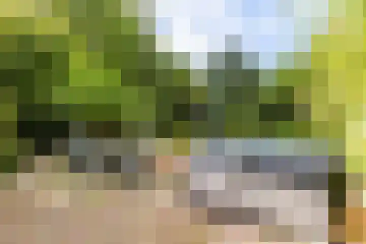 Schoterlandseweg 33 Jubbega thumbnail 18