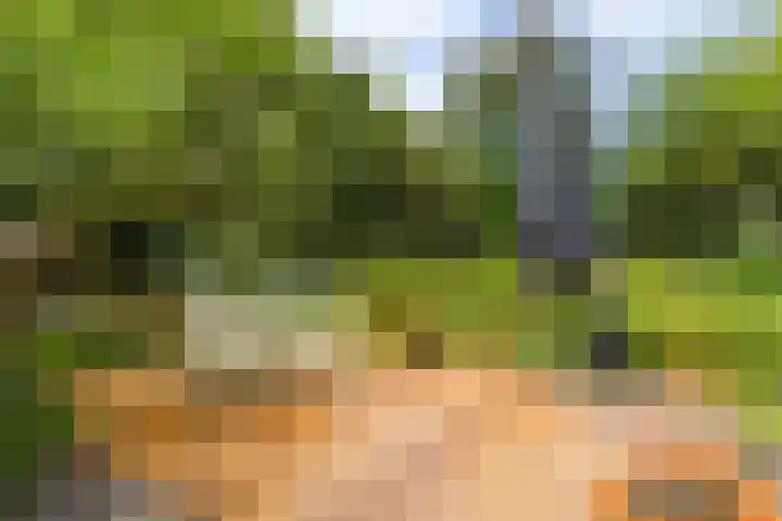 Schoterlandseweg 33 Jubbega thumbnail 19