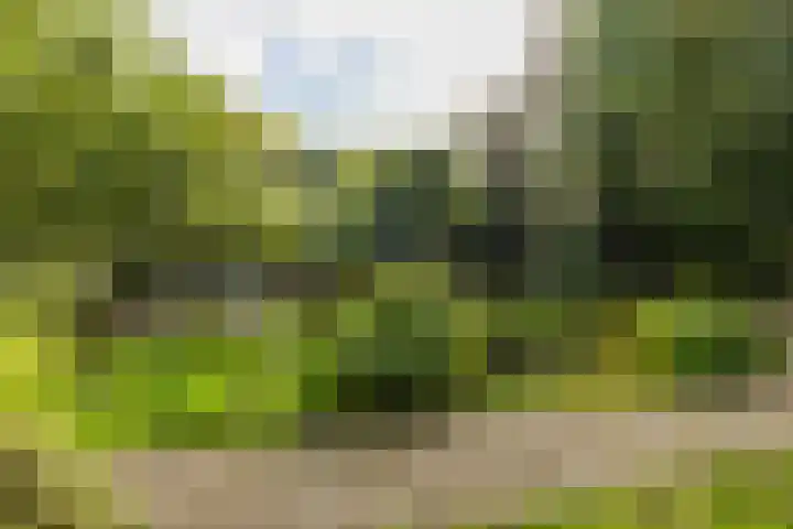 Schoterlandseweg 33 Jubbega thumbnail 21