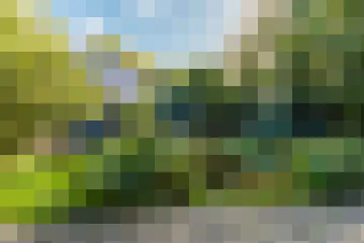 Schoterlandseweg 33 Jubbega thumbnail 22