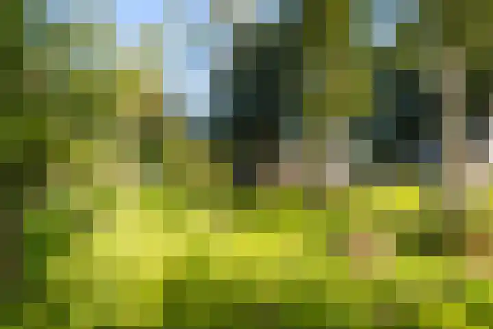 Schoterlandseweg 33 Jubbega thumbnail 23