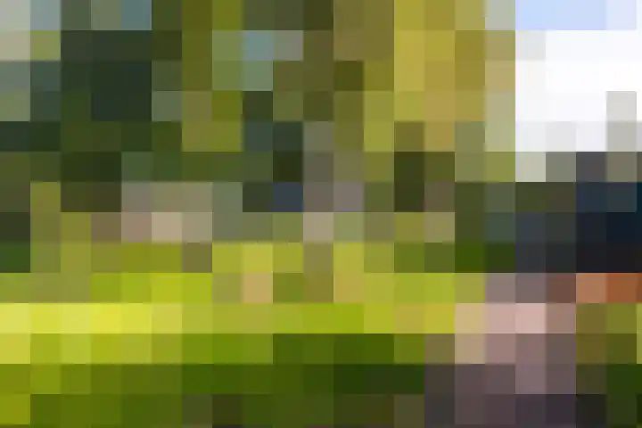 Schoterlandseweg 33 Jubbega thumbnail 24