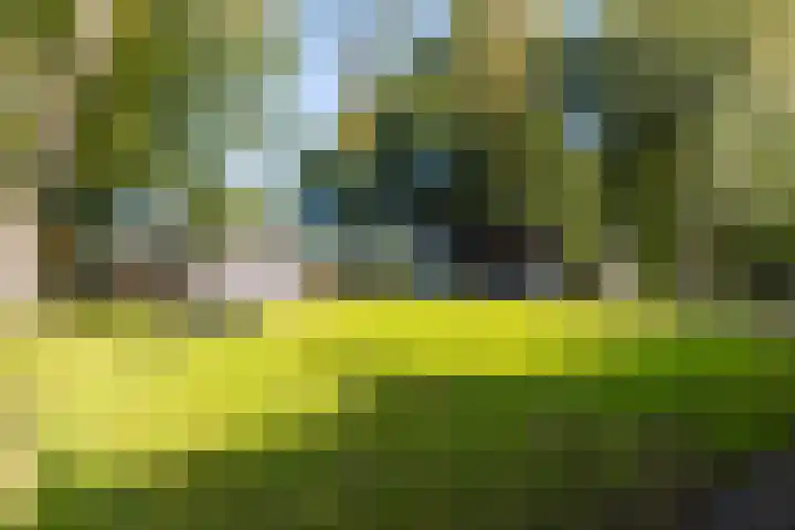 Schoterlandseweg 33 Jubbega thumbnail 25