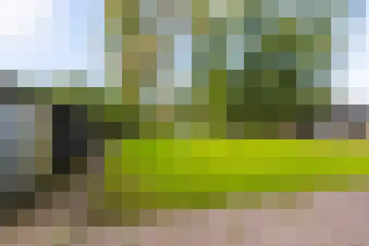 Schoterlandseweg 33 Jubbega thumbnail 26