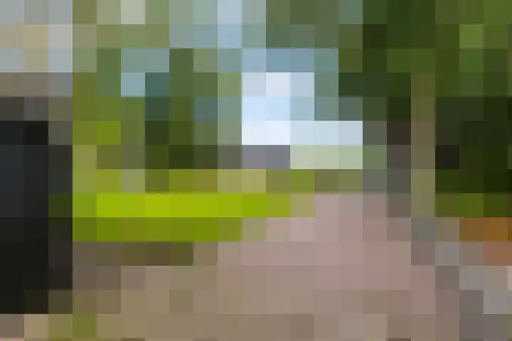 Schoterlandseweg 33 Jubbega thumbnail 27