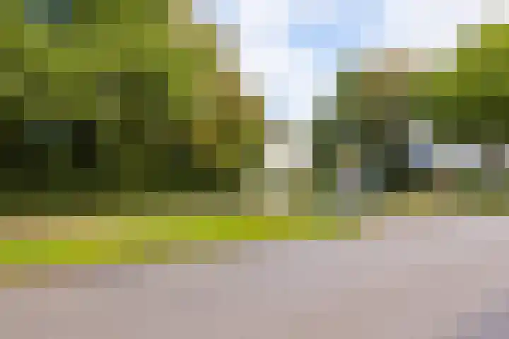 Schoterlandseweg 33 Jubbega thumbnail 30
