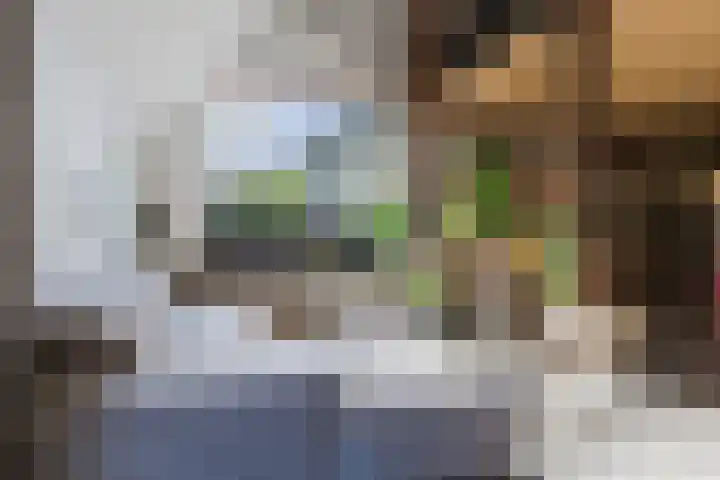 Schoterlandseweg 33 Jubbega thumbnail 37