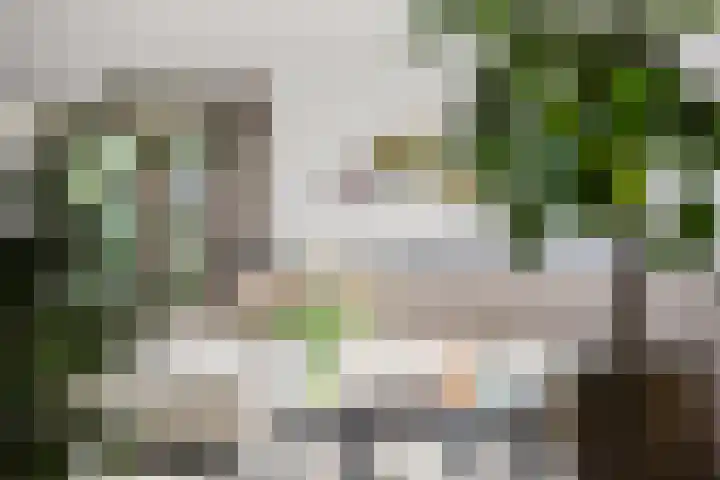 Schoterlandseweg 33 Jubbega thumbnail 38