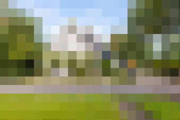 Schoterlandseweg 33 Jubbega thumbnail 8