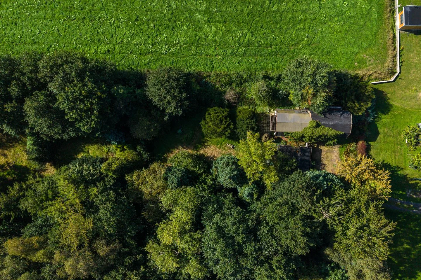 Schoterlandseweg 34 Oudehorne thumbnail 11