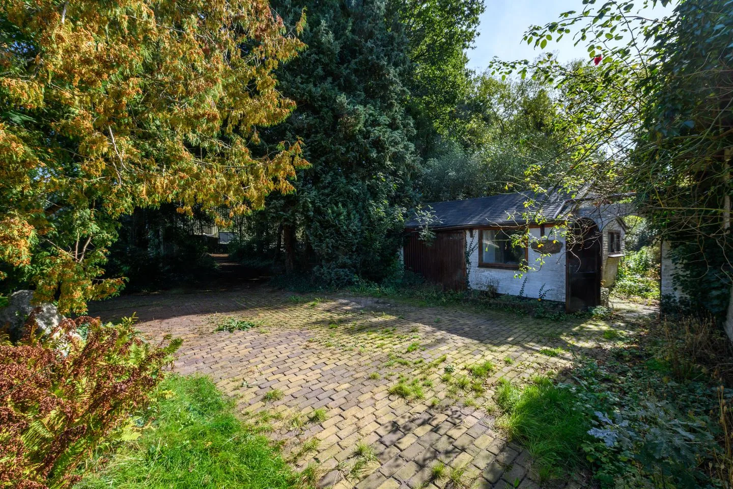 Schoterlandseweg 34 Oudehorne thumbnail 17