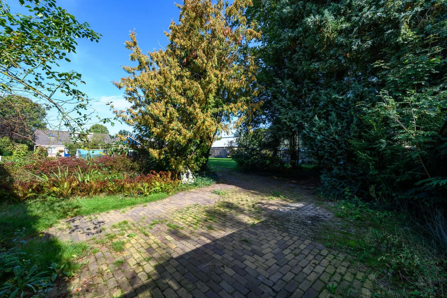 Schoterlandseweg 34 Oudehorne thumbnail 18