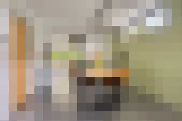 Schoterlandseweg 42 Nieuwehorne thumbnail 10