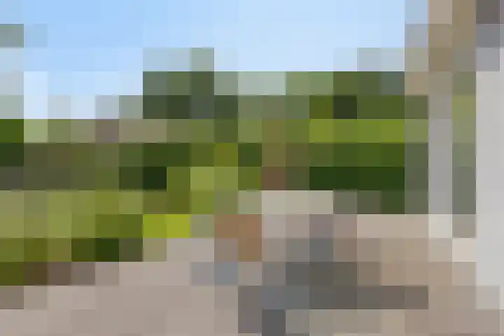 Schoterlandseweg 42 Nieuwehorne thumbnail 31