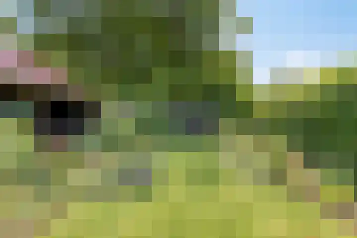 Schoterlandseweg 42 Nieuwehorne thumbnail 32