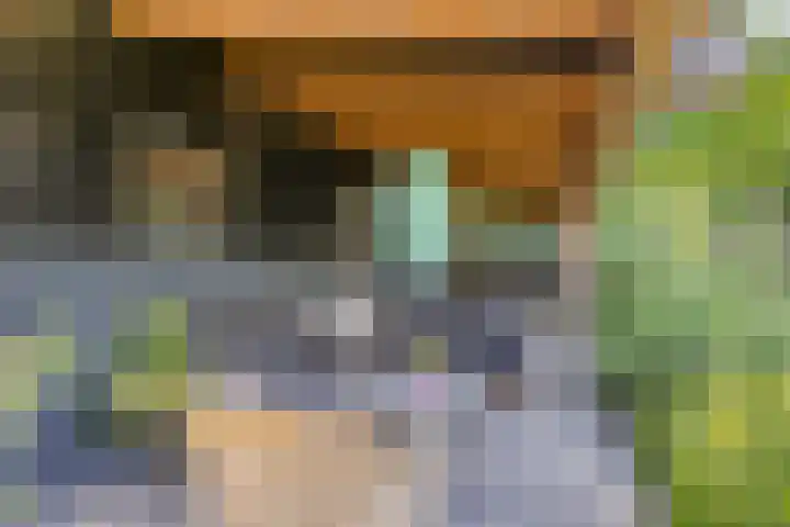 Schoterlandseweg 42 Nieuwehorne thumbnail 33