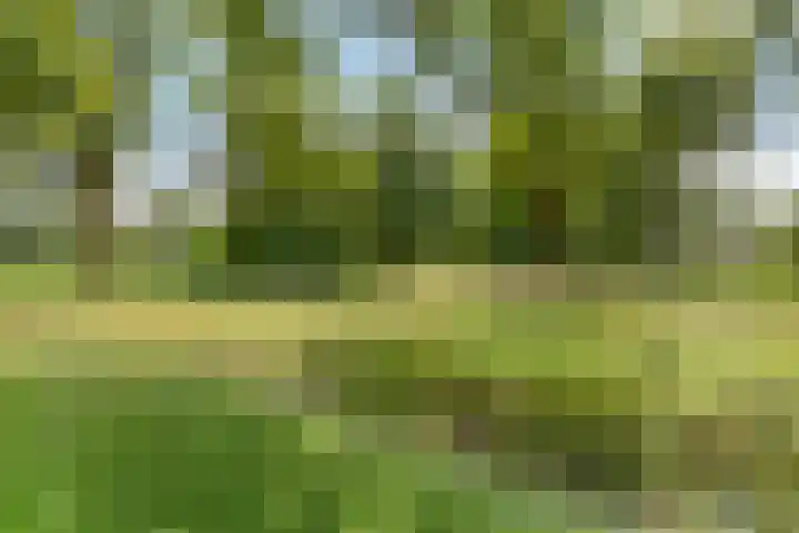 Schoterlandseweg 42 Nieuwehorne thumbnail 39