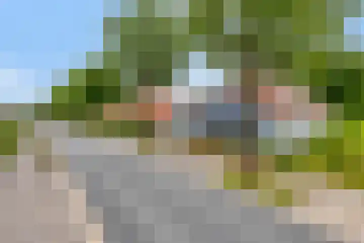 Schoterlandseweg 42 Nieuwehorne thumbnail 40