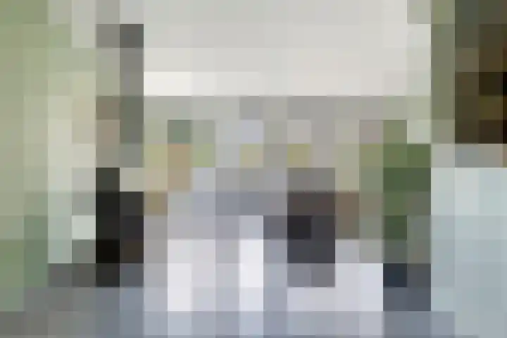 Schoterlandseweg 42 Nieuwehorne thumbnail 6