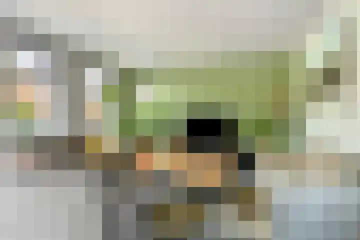 Schoterlandseweg 42 Nieuwehorne thumbnail 7