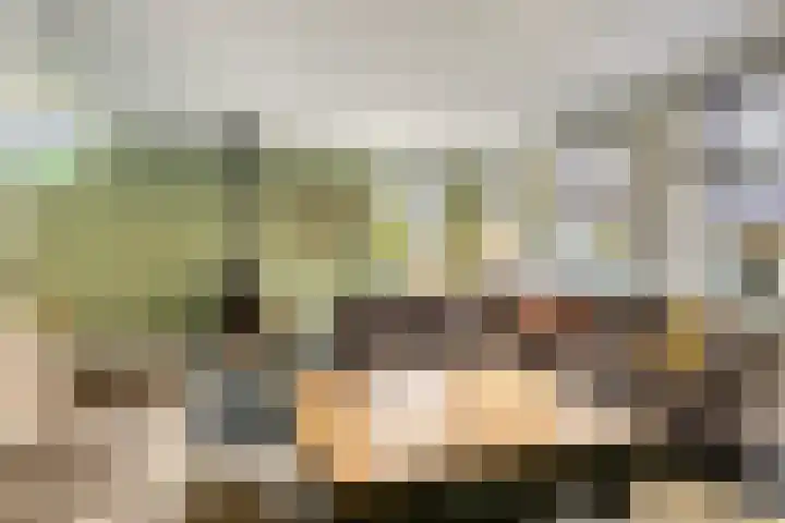 Schoterlandseweg 42 Nieuwehorne thumbnail 8