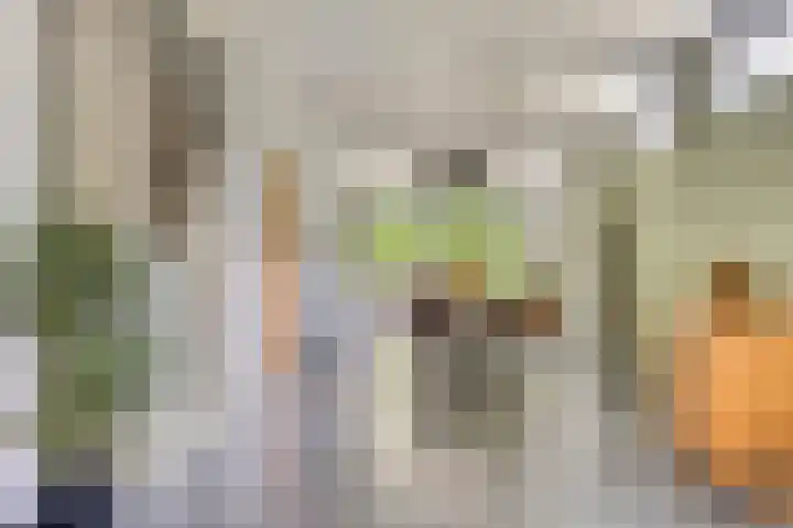 Schoterlandseweg 42 Nieuwehorne thumbnail 9