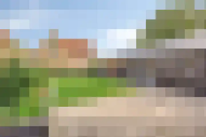 Schoterlandseweg 45 Hoornsterzwaag thumbnail 21