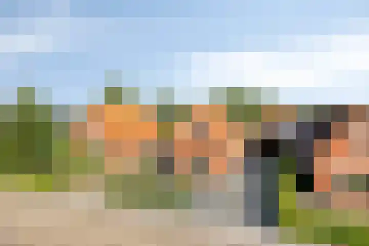 Schoterlandseweg 45 Hoornsterzwaag thumbnail 28