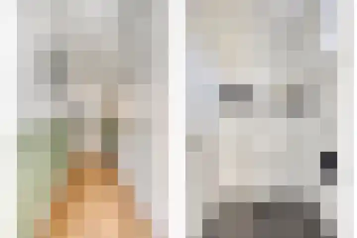 Schoterlandseweg 45 Hoornsterzwaag thumbnail 4