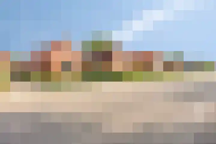 Schoterlandseweg 45 Hoornsterzwaag thumbnail 9