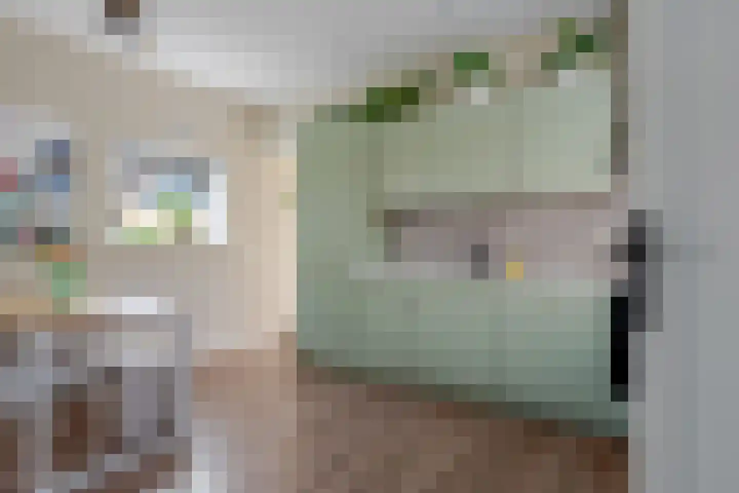Schoterlandseweg 62 Mildam thumbnail 12