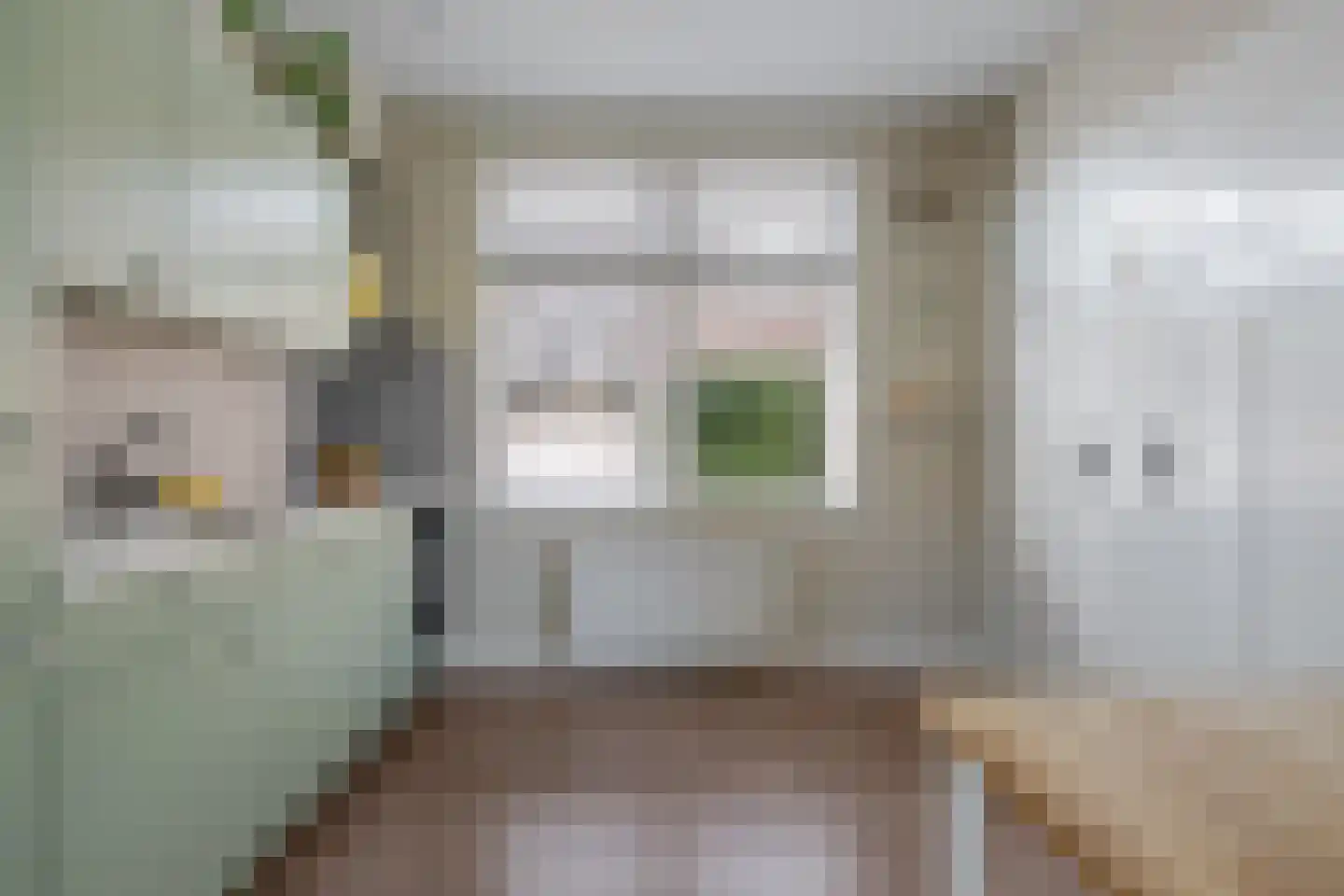 Schoterlandseweg 62 Mildam thumbnail 14