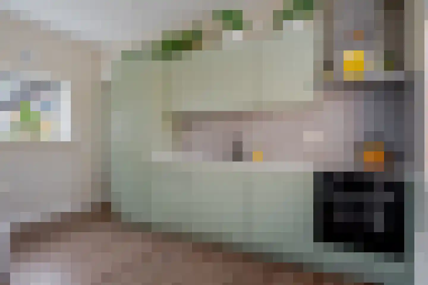 Schoterlandseweg 62 Mildam thumbnail 16