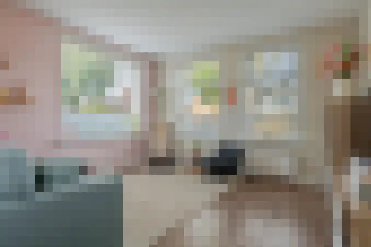 Schoterlandseweg 62 Mildam thumbnail 21