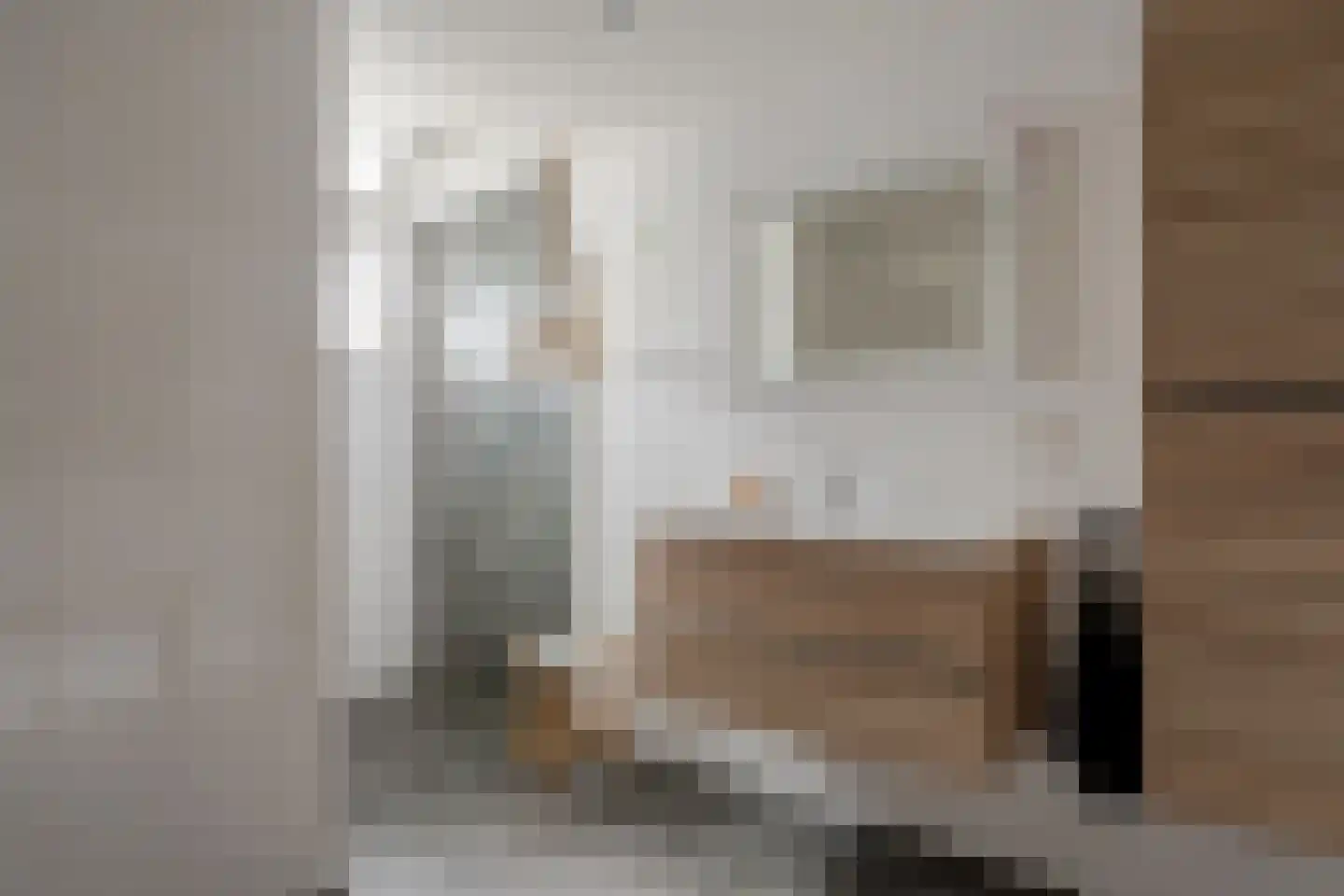 Schoterlandseweg 62 Mildam thumbnail 31