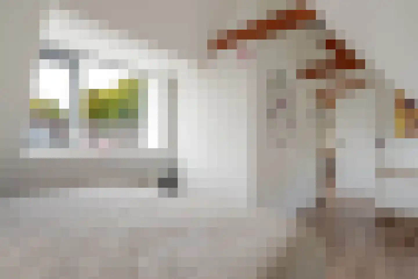 Schoterlandseweg 62 Mildam thumbnail 39
