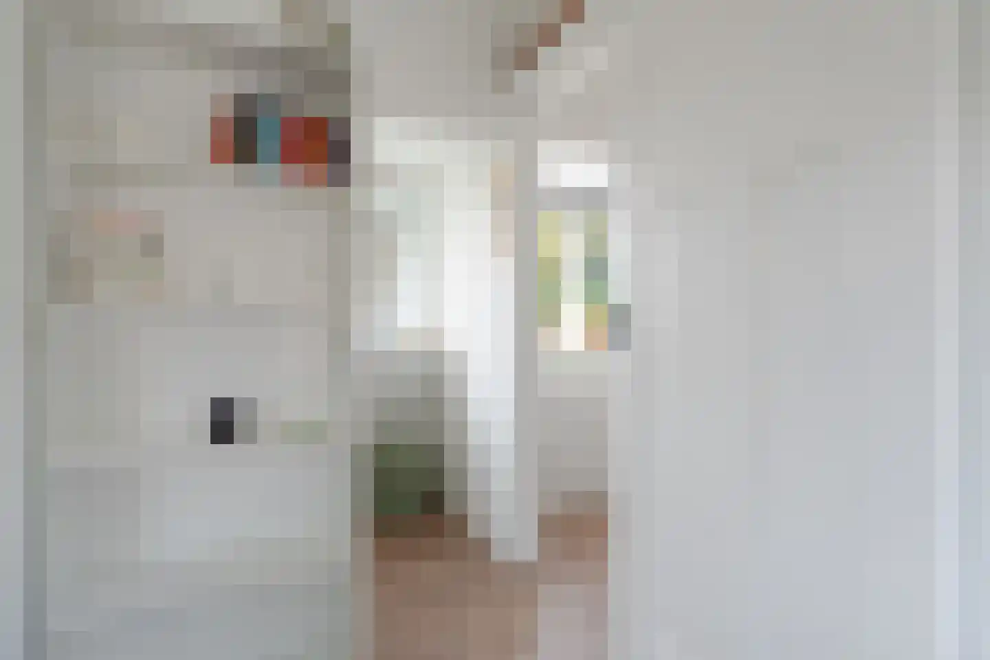 Schoterlandseweg 62 Mildam thumbnail 40