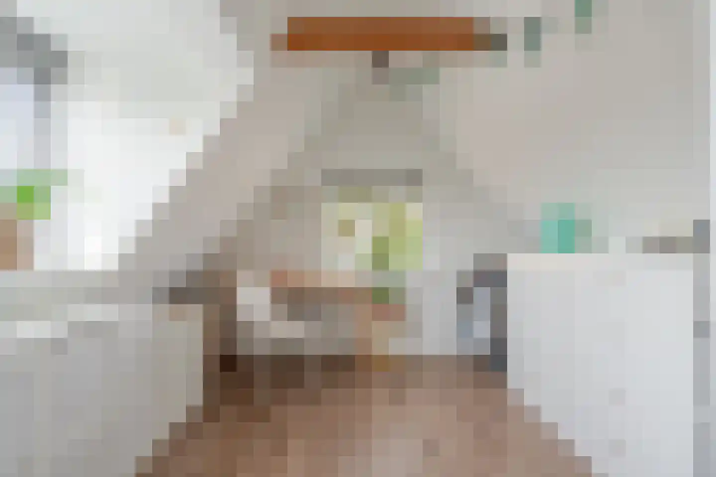 Schoterlandseweg 62 Mildam thumbnail 41