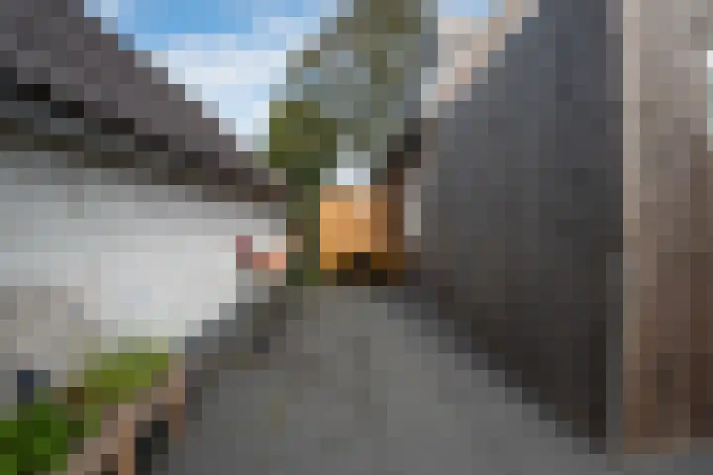 Schoterlandseweg 62 Mildam thumbnail 50