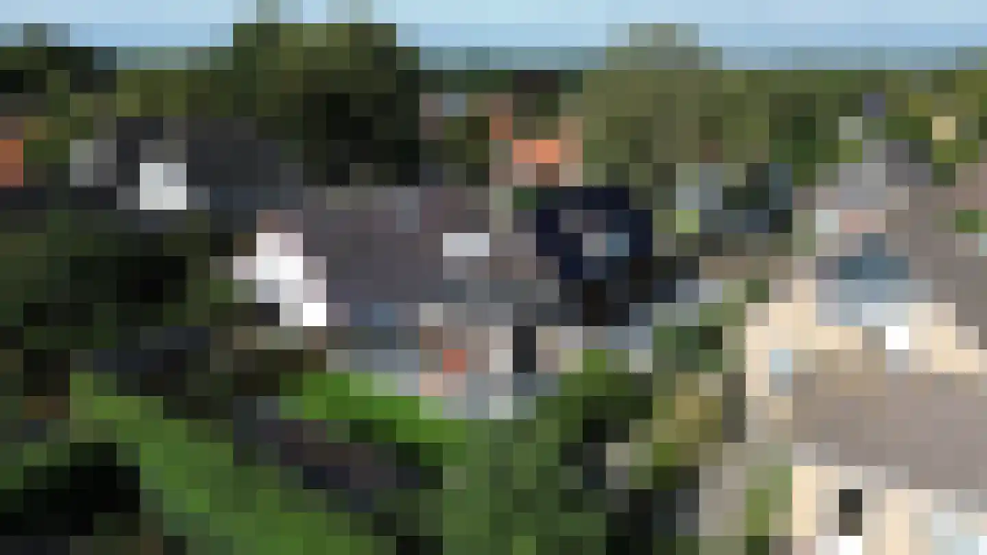 Schoterlandseweg 62 Mildam thumbnail 51