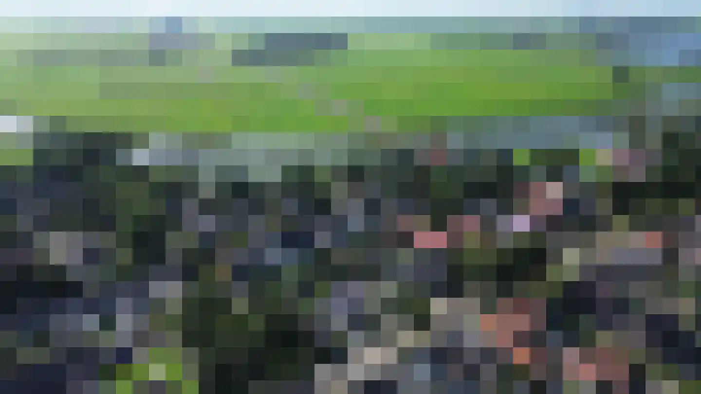 Schoterlandseweg 62 Mildam thumbnail 56
