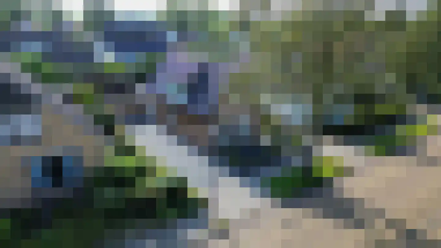 Schoterlandseweg 62 Mildam thumbnail 6