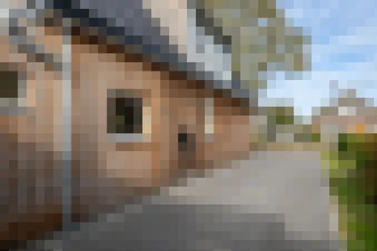Schoterlandseweg 62 Mildam thumbnail 7
